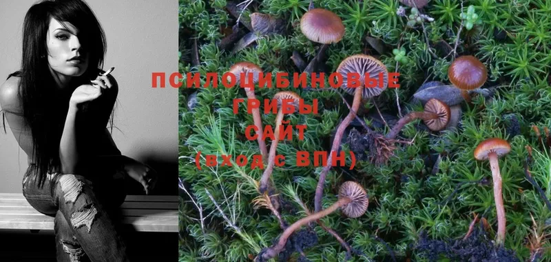 Галлюциногенные грибы Magic Shrooms  Балей 